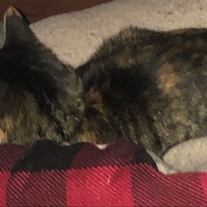 Meet your Posher, Mable